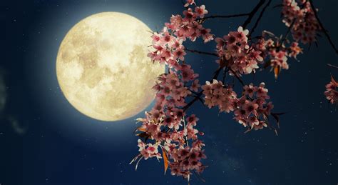A Beautiful Flower Moon Is Taking Over Vancouver Skies Next Month News