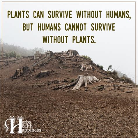 Plants Can Survive Without Humans But Humans Cannot Survive Without