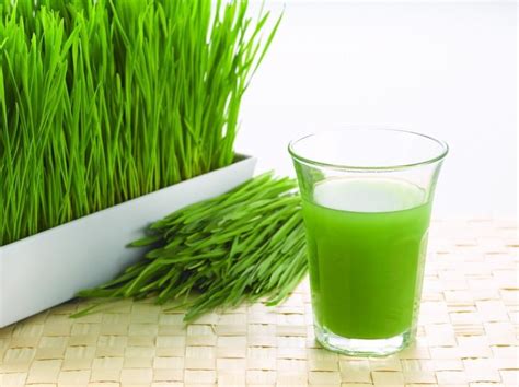 Here Are 30 Reasons Why You Should Start Drinking Wheatgrass Juice