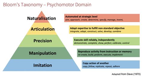 What Are The Different Levels Of Psychomotor Domain Sandra Rogers
