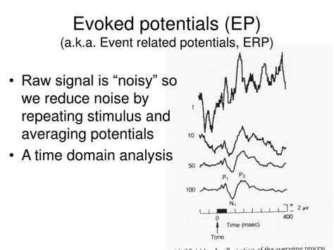 Ppt Evoked Potentials Ep Aka Event Related Potentials Erp