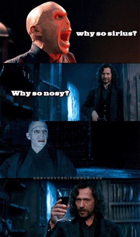 Best Harry Potter Memes 50 Funny Pictures With Hp
