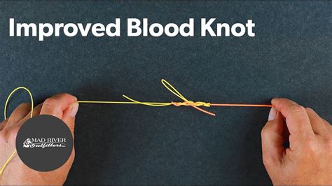 Improved Blood Knot Tutorial Youtube