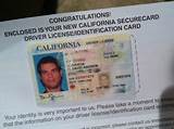 Images of Replacing A Drivers License