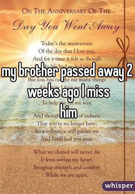 My Brother Passed Away 2 Weeks Ago I Miss Him