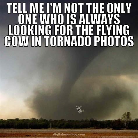 40 Tornado Memes And Images About Twisters And Crazy Weather