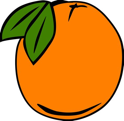 Clipart Simple Fruit Orange