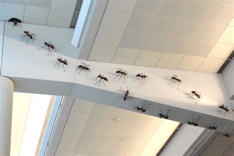 Big Ants Atlanta Airport Georgia Billy Liar Flickr