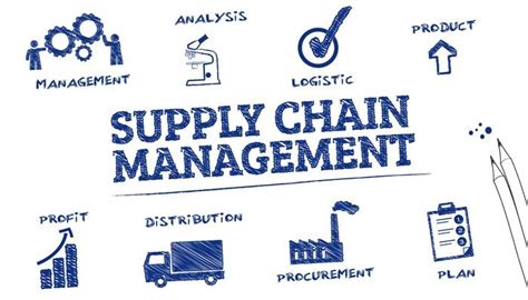 Your skills as a supply chain analyst can prepare you to transition into related roles, such as planner or supply chain manager, which could open up different career paths for you. Career Spotlight - Supply Chain Management