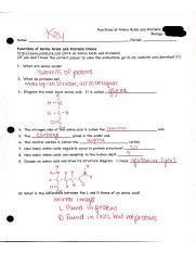 This membrane is selectively permeable; egg osmosis lab(1).docx - Introduction to Osmosis I What ...