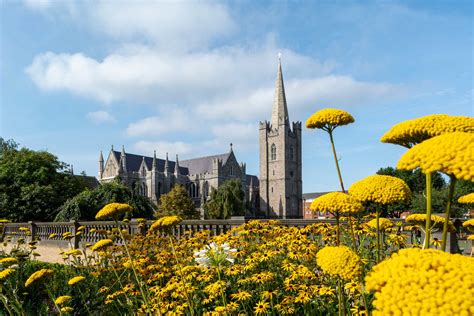 St Patricks Cathedral Visit Dublin