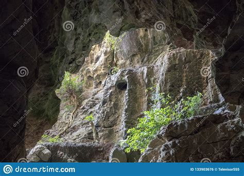 Stone Cave Landscape With Greenery Ancient Cave View To Jungle Forest