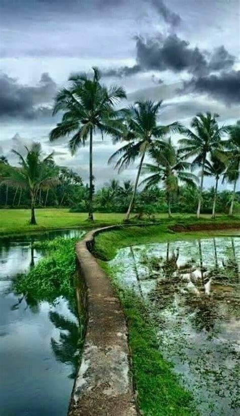 My Beautiful And Natural Village Life Landscape
