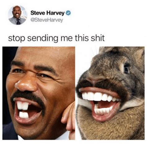 Stop Sending Me This Meme 012 Steve Harvey Bunny Rabbit Comics And Memes