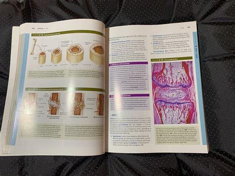 Junqueiras Basic Histology 14th Edition On Carousell