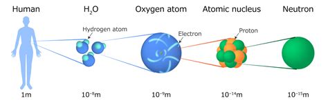 Neutron Experiment