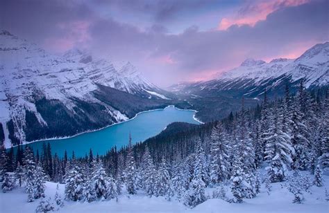 Winter Lake Valley Banff National Park Alberta By
