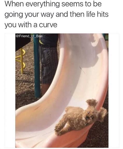 When Life Hits You With A Curve Pictures Photos And Images For