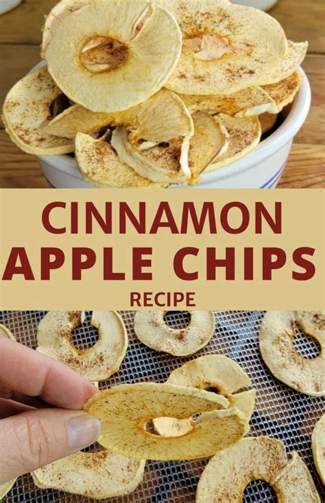 Dehydrated Cinnamon Apple Chips Recipe · Hidden Springs Homestead