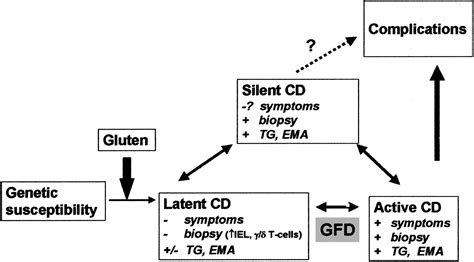 Epidemiology Of Celiac Disease What Are The Prevalence Incidence And