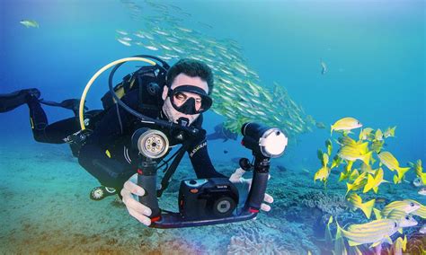 10 Underwater Photography Tips For Beginners Sam Yari