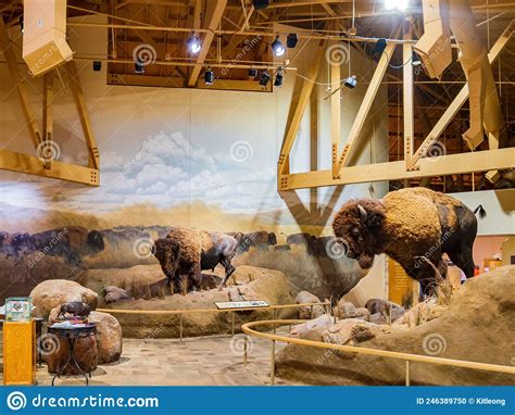 Interior View Of The Wichita Mountains Wildlife Refuge Visitor Center