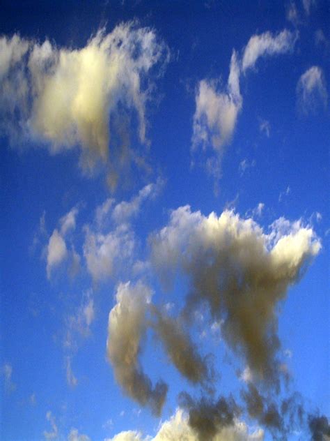 Free Photo Cotton Sky Blue Bspo06 Clouds Free Download Jooinn