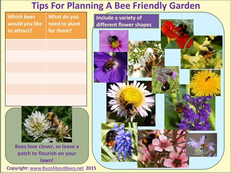 Planting A Bee Friendly Garden