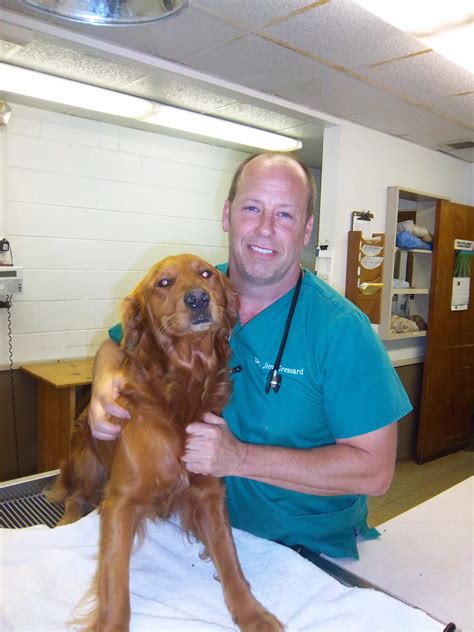 Doctors & Staff | Veterinary Associates, Inc
