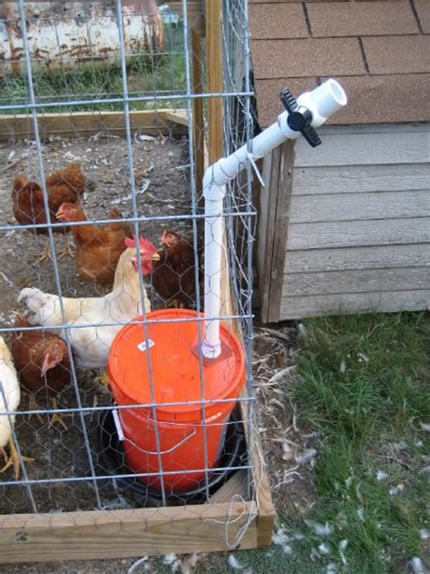 Chicken Water Station Ideas The Owner Builder Network