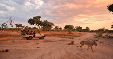 Moremi Game Reserve Botswana Safari Safari Information For Your Botswana Holiday