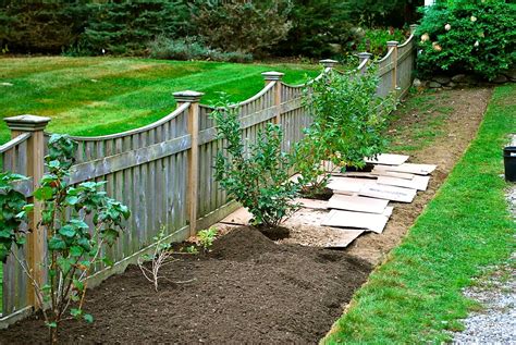 Check spelling or type a new query. Backyard Fencing Ideas - HomesFeed
