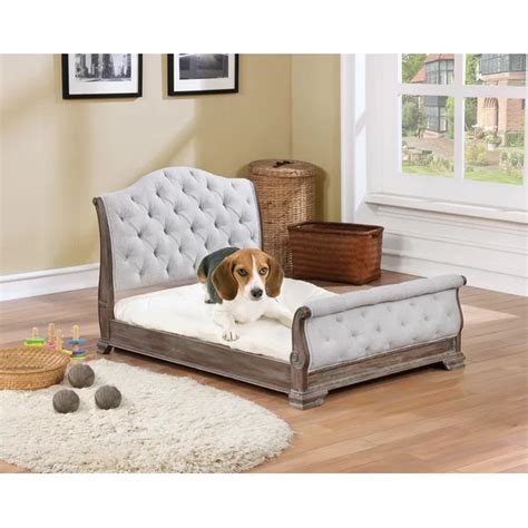 Archie And Oscar Hazeltine Dog Bed And Reviews Wayfair Pet Sofa Bed