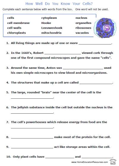 Turns an unsecure link into an anonymous one! free printable cells worksheets fill in the blanks biology ...