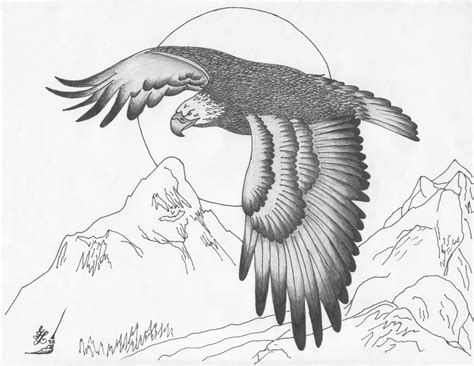 Flying Eagle Easy Pencil Eagle Drawing Img Abishag