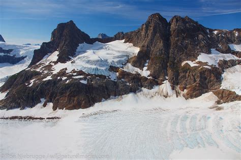 Tongass National Forest Photos By Ron Niebrugge