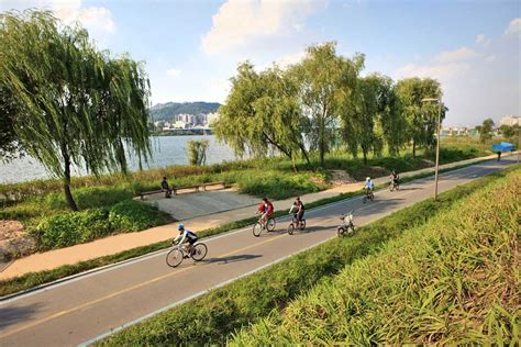 Han River Bike Rental With Images River Park Han River River