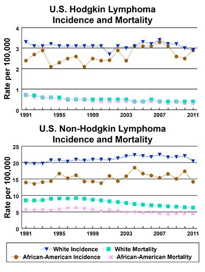 A Snapshot Of Lymphoma National Cancer Institute