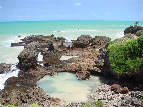 Melhores Praias Do Nordeste Praia De Tambaba Conde PA Escola