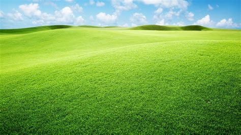 Backgrounds Lovely Green Landscape Hd Chainimage With