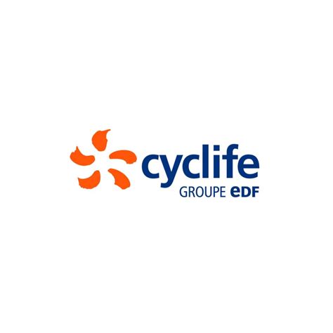Case Study Cyclife Coaching Centre For Leadership Performance