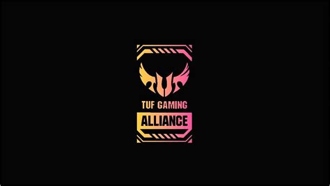 Fortnite game wallpaper, video games, gamer, crowd, real. Tuf Gaming Wallpapers Hd