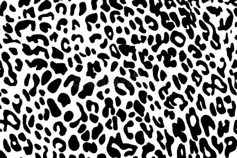 Black And White Background Of Leopard Stock Image - Image ...