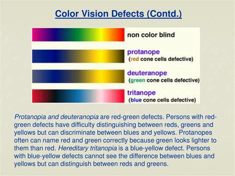 Ppt Chapter 7 Color Vision How Do We Perceive Color Powerpoint
