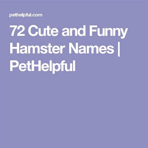 72 Cute And Funny Hamster Names For Males And Females Hamster Names Funny Hamsters Hamster