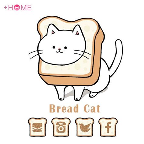 Bread Cat This Care Is Wearing Bread How Cute Unique And Slightly