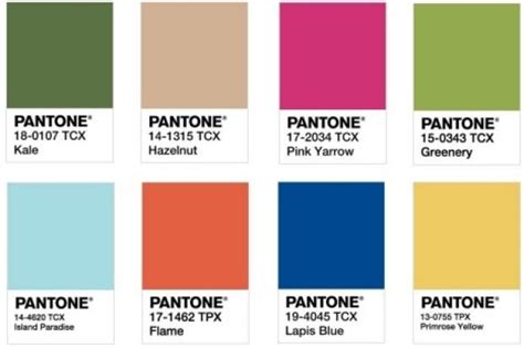 How Do They Choose The Pantone Colour Of The Year Domain