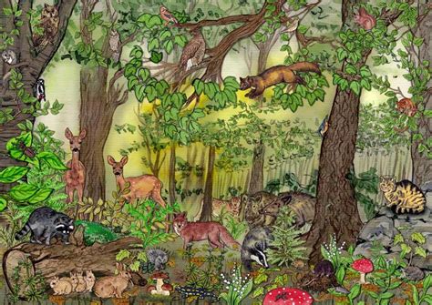 Dir stehen auf unserem portal. Naturdetektive für Kinder - www.naturdetektive.de ...
