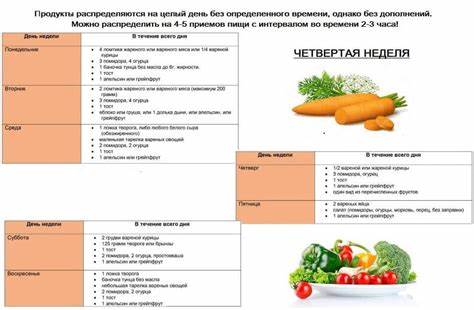 Вареные Овощи Диета Магги — Похудение Диета Правильное Питание Картинка - Вареные Овощи Диета Магги — Похудение Диета Правильное Питание