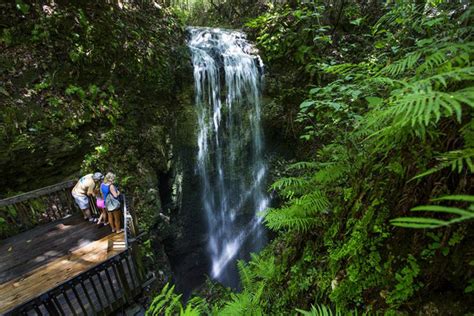 12 Best Waterfalls In Florida That Offers A Perfect Visual Retreat